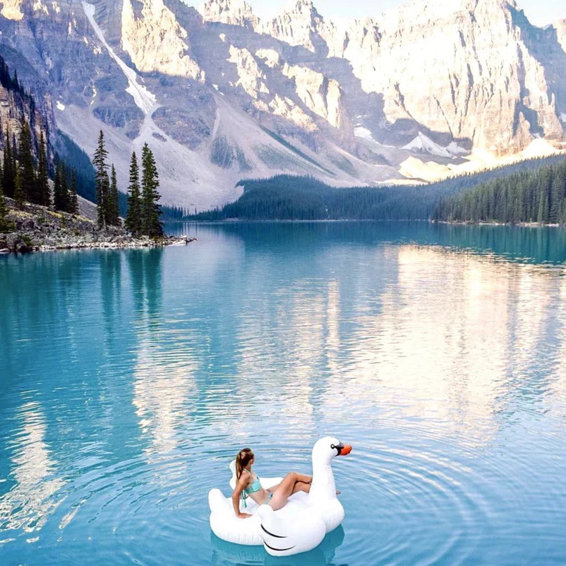 Giant Inflatable Swan Float
