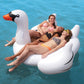 Giant Inflatable Swan Float